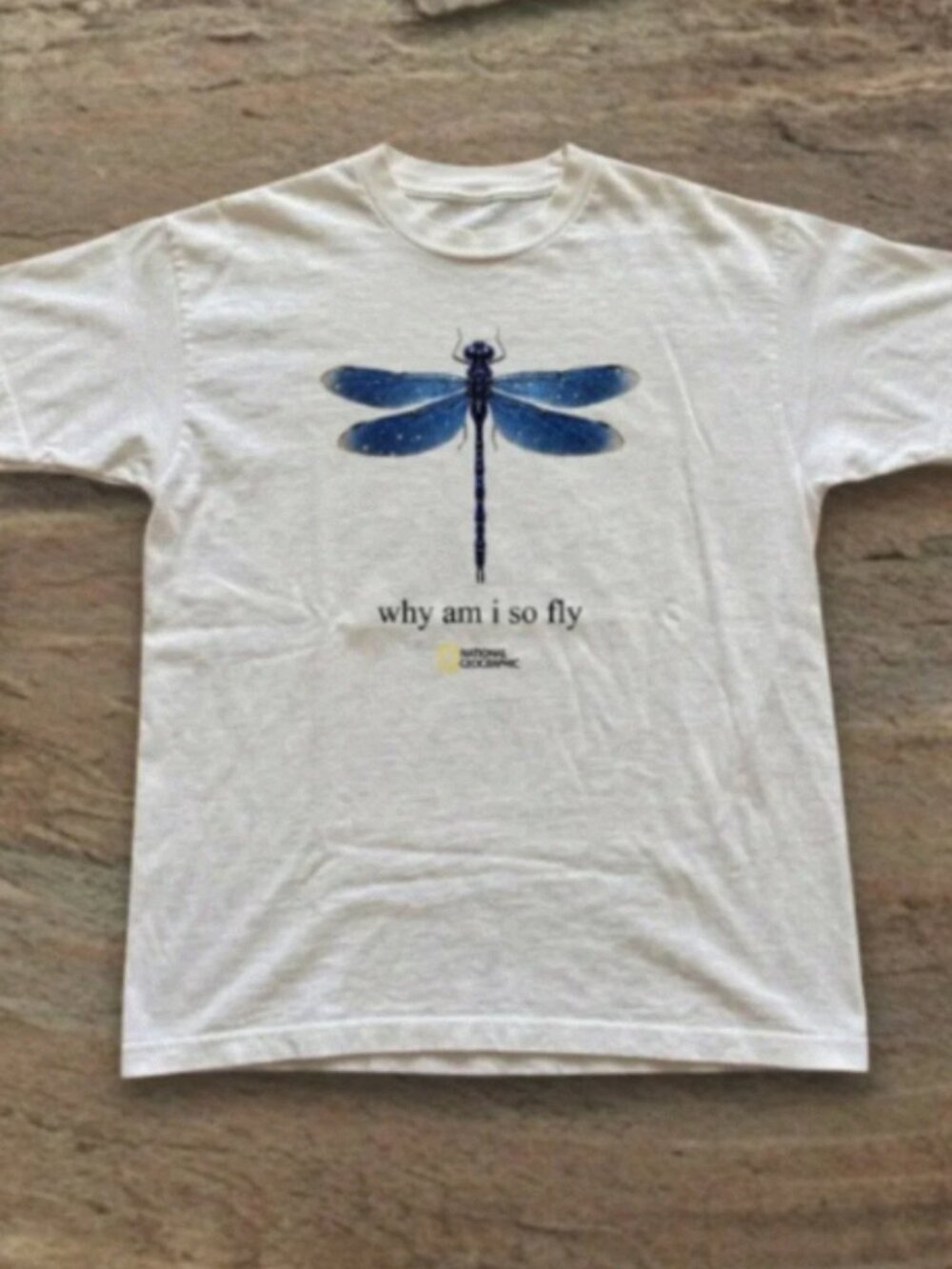 Blue Dragonfly Graphic T-Shirt Nature Inspired Vintage Style White Tee